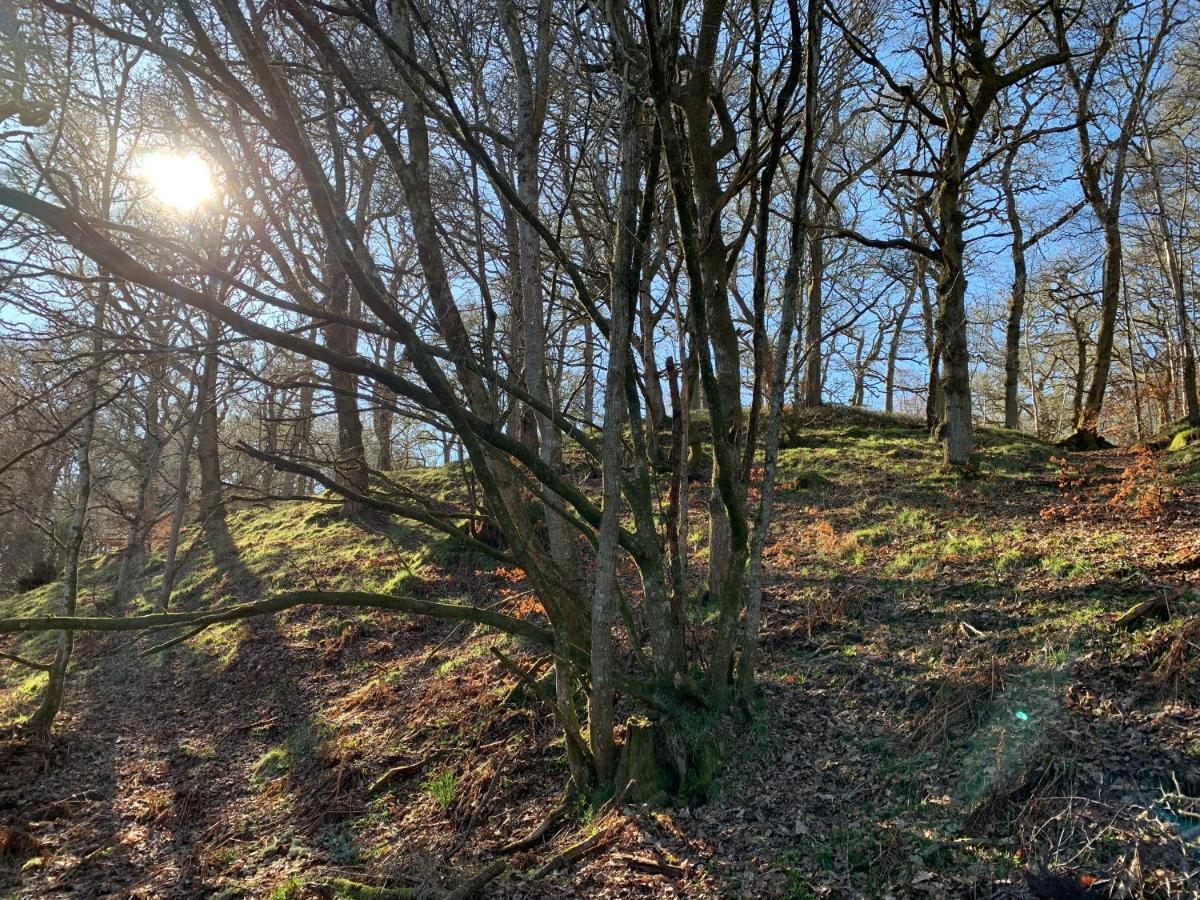 Loch Ness Woodland Pods Hotel Drumnadrochit Buitenkant foto