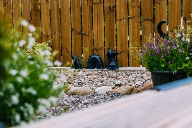 Loch Ness Woodland Pods Hotel Drumnadrochit Buitenkant foto